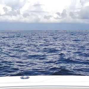 Meet your Posher, Misty